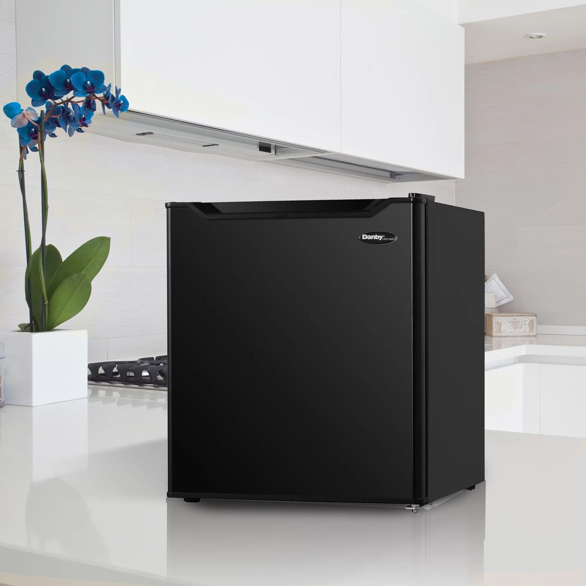 1.6 Cu.ft. Countertop Mini Refrigerator R76856
